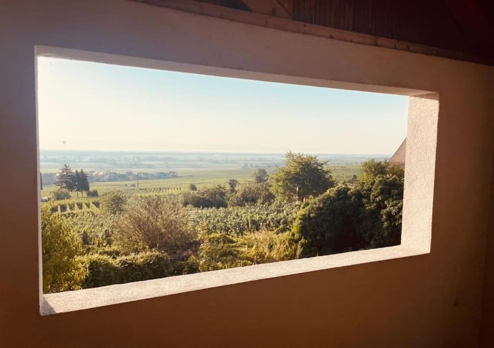 Gite Origin Gueberschwihr Exteriér fotografie