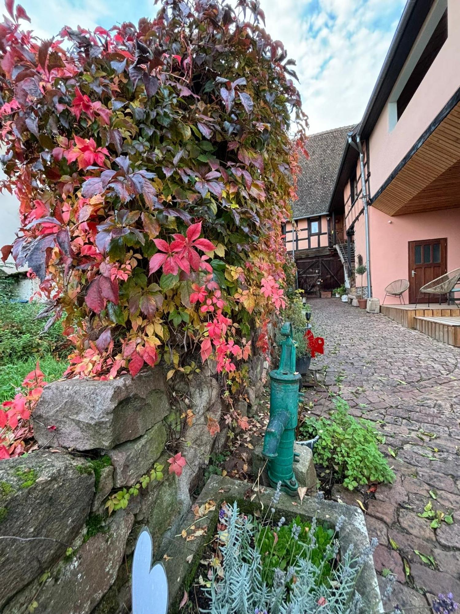 Gite Origin Gueberschwihr Exteriér fotografie